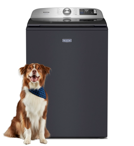 Maytag® top load washer in midnight steel with a dog in front.