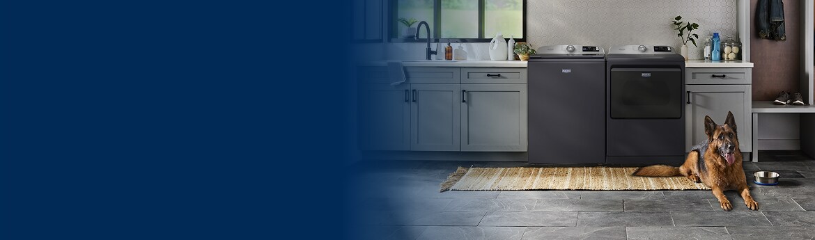 A dog laying in front of the Pet Pro System.