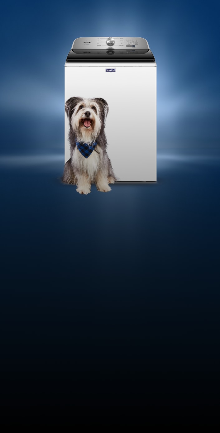 A top load washing machine with a dog in front of it.