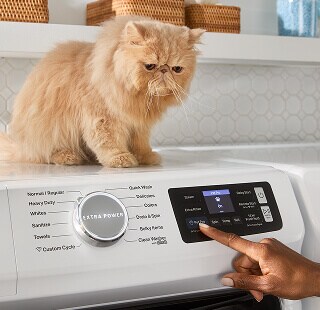 Cat sitting on top of a Maytag® washer while person selects settings