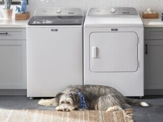 A Maytag® washer and dryer pair with a dog in front of it
