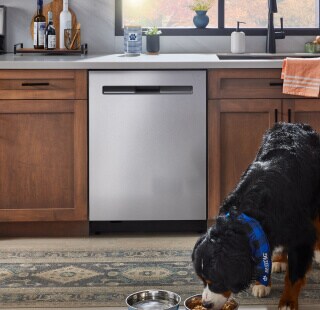 A dog eating in front of a Maytag® dishwasher