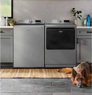 A dog laying in front of a Maytag® washer and dryer set