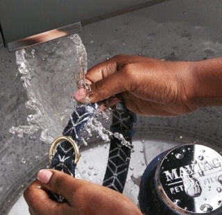 Hands rinsing a collar under water