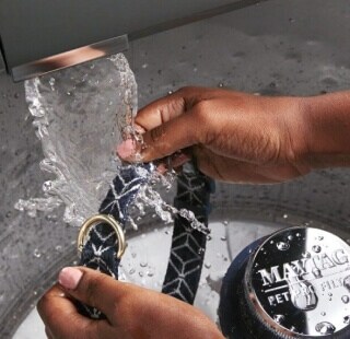 Hands rinsing a collar under water