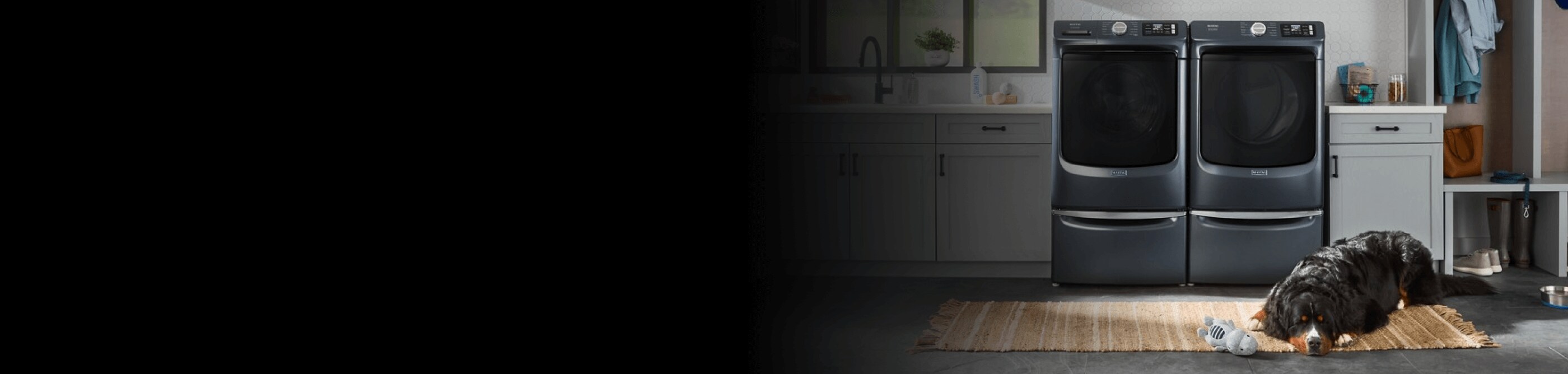 A dog lying down in a laundry room in front of a front load washer and dryer on pedestals
