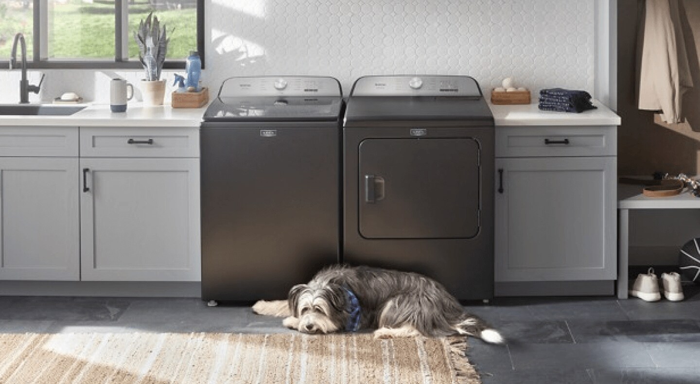 A dog lying down in a laundry room in front of a top load washer and dryer