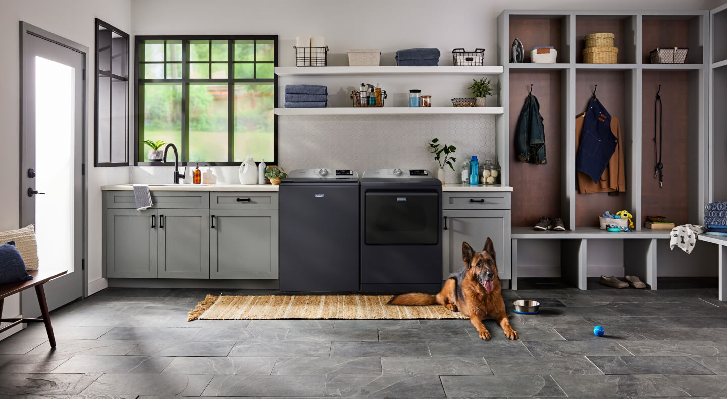 Dog sitting in front of a Maytag® top load laundry pair in an open mudroom