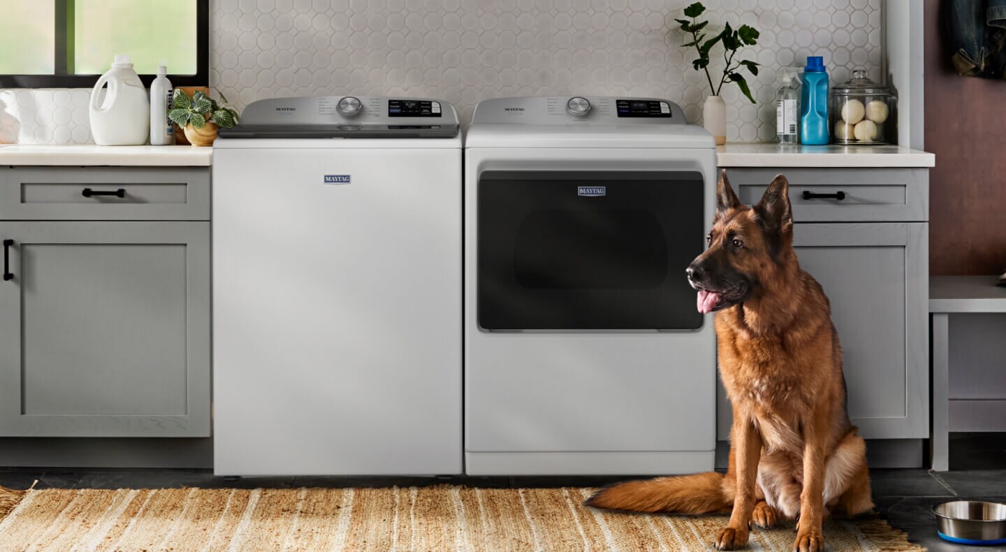 Dog sitting in front of white Maytag® top load laundry pair