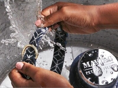 Hands placing pet collar into washing machine