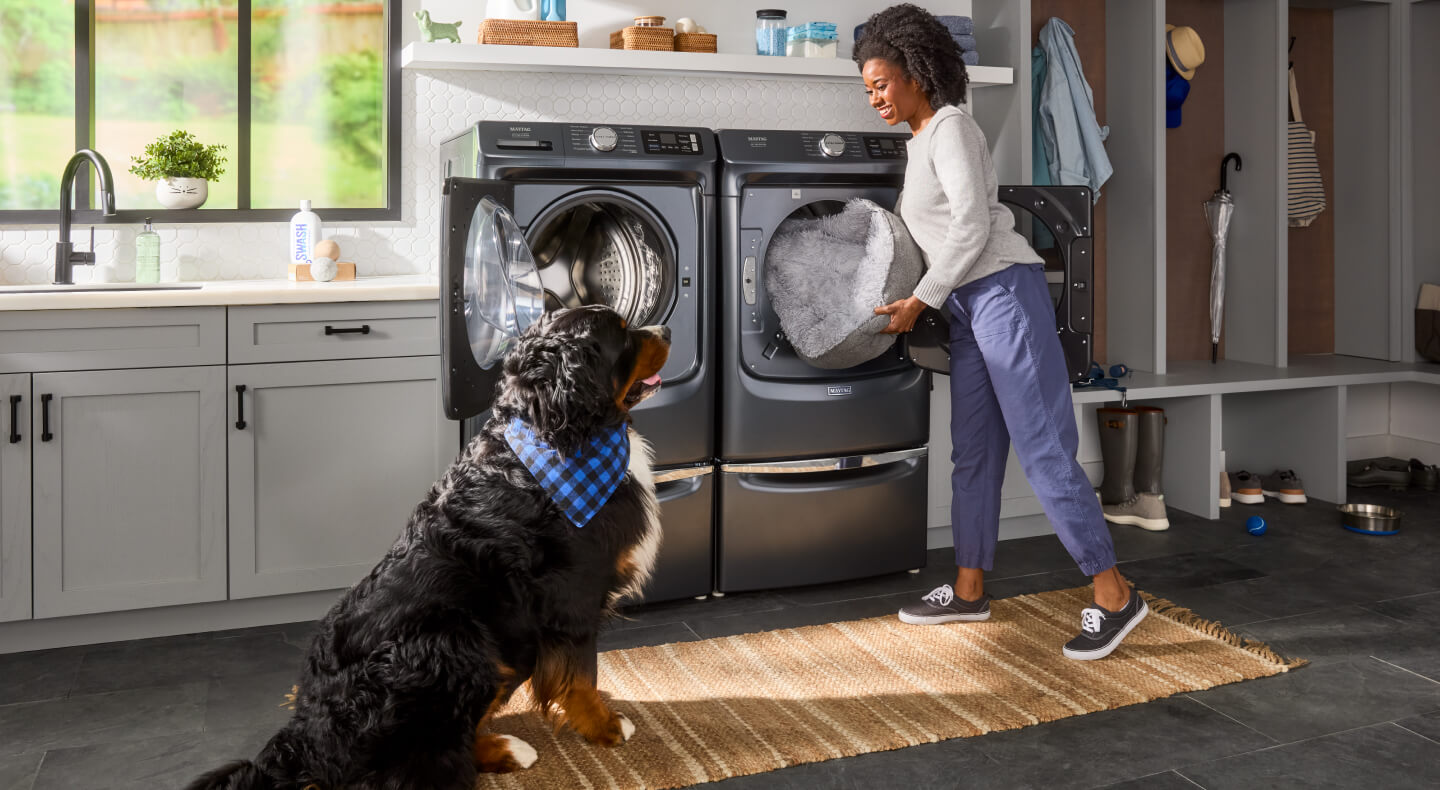 Person pulling a dog bed out of a Maytag® front load dryer next to a Maytag® front load washer and a giant St. Bernard dog standing beside them