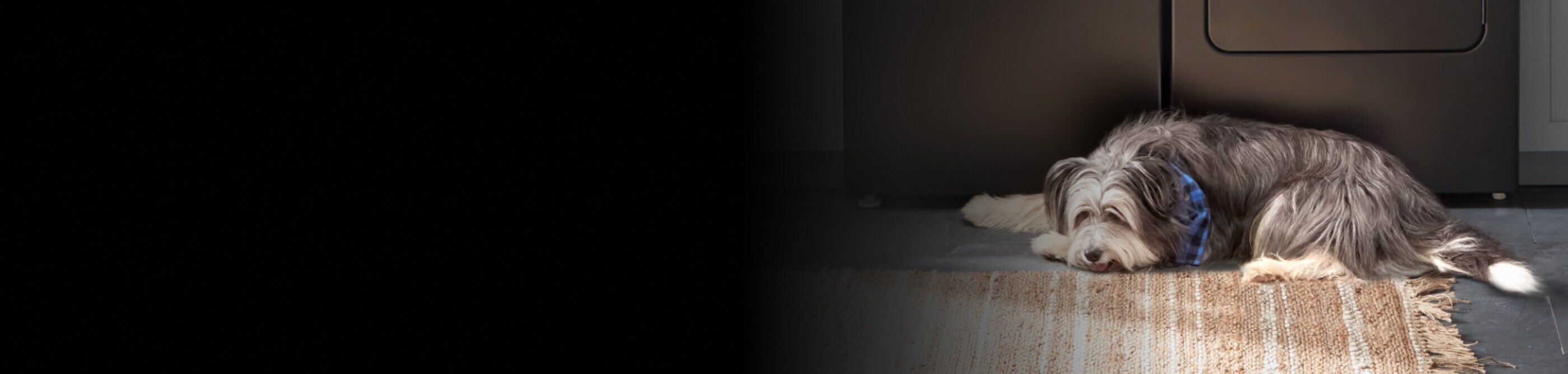 Shaggy dog laying on a rug in front of a grey washer and dryer