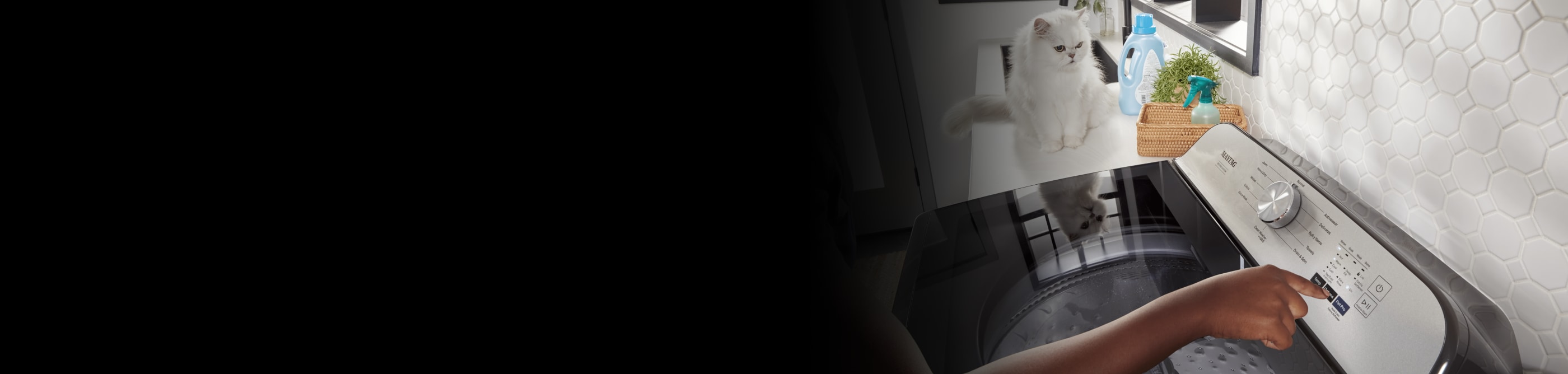 A laundry room with a cat.