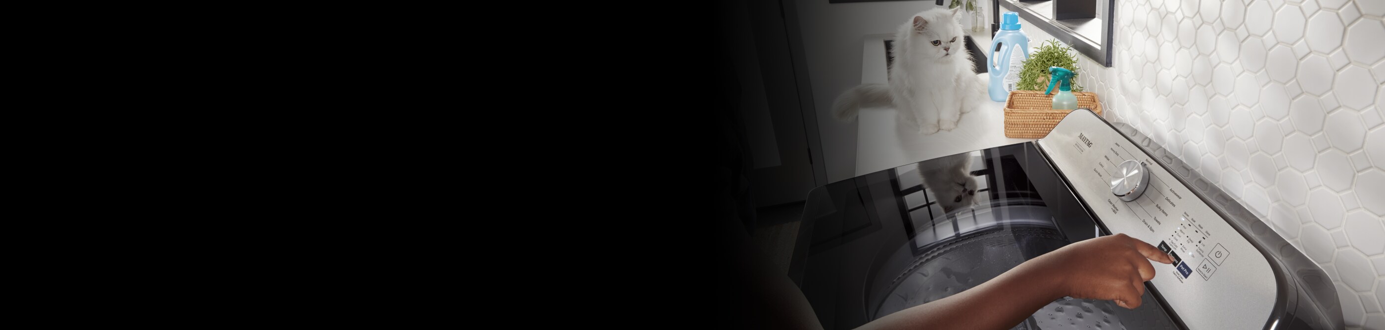 A laundry room with a cat.