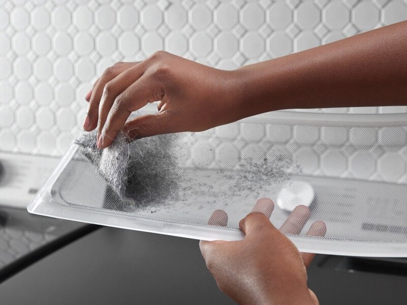 How to Remove Dog Hair From Your Washer and Dryer Maytag