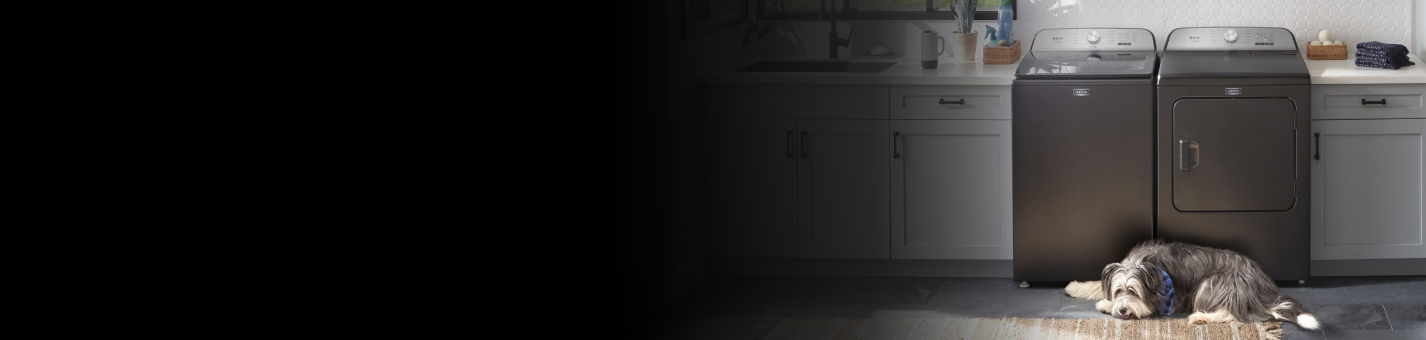 Dog laying in front of a gray Maytag® top load washer and dryer pair 