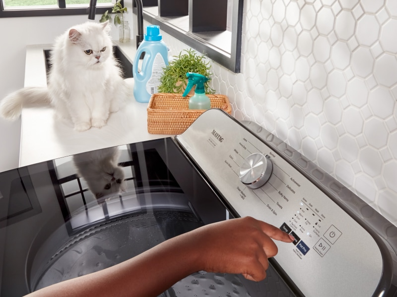 A cat sitting and watching the dryer work A cat sitting and watching the dryer work