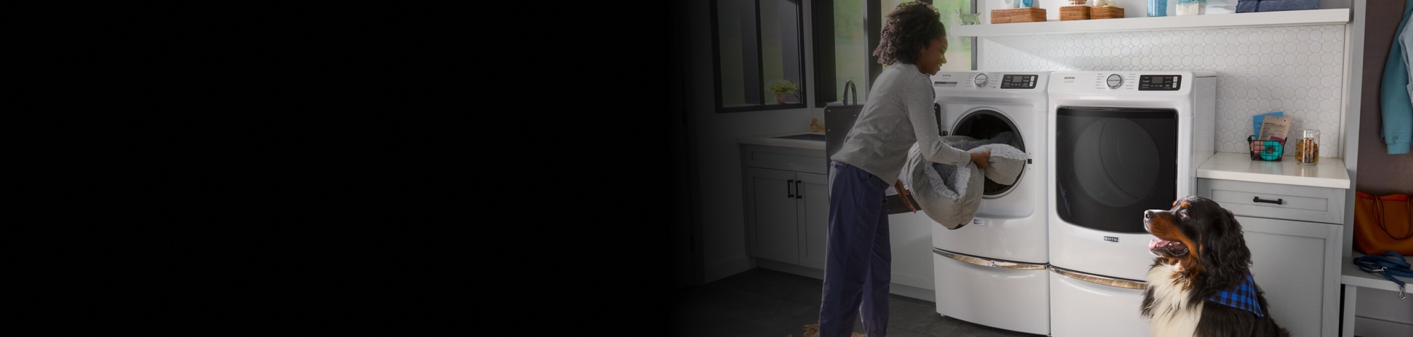 A person loading a dog bed into a white front load washer on a pedestal in a laundry room while a dog watches