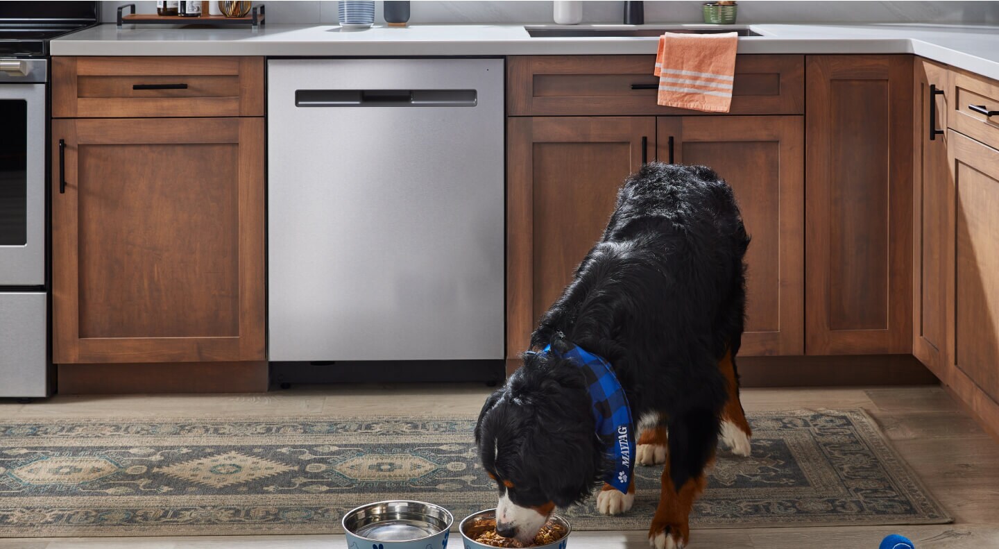 Dog eating in front of a Maytag® dishwasher