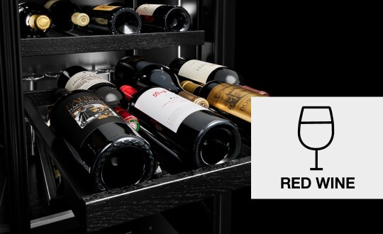 Bottles of wine on a wine rack