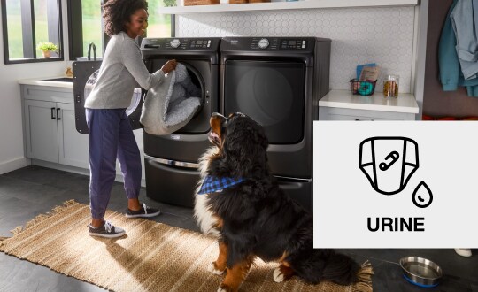 Person loading laundry into a washer while their dog looks on