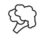 Vegetable icon