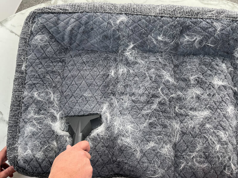A person vacuuming pet hair off a dog bed