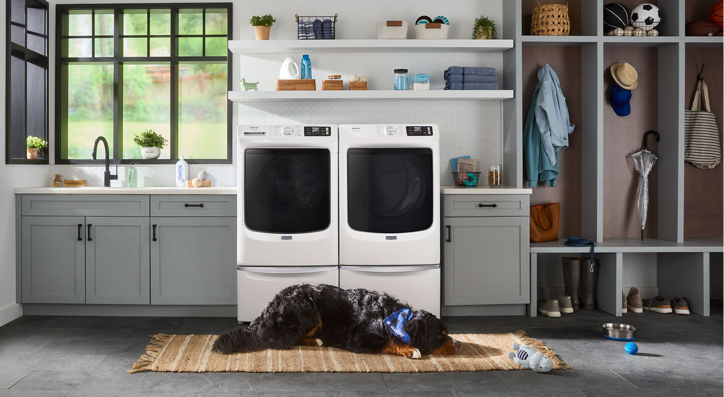 A dog resting on a carpet in front of a washer and dryer