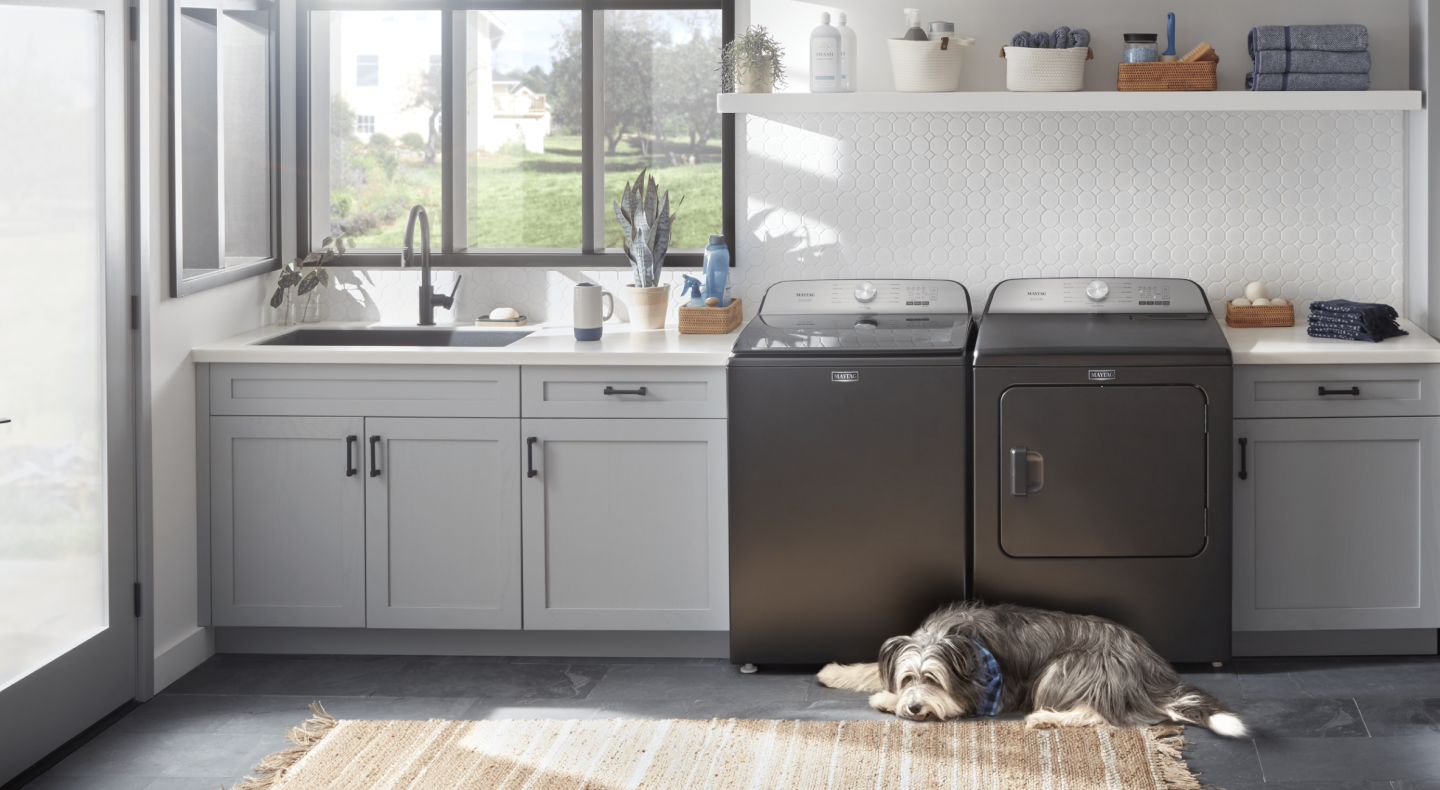 Dog laying in front of slate gray Maytag® washer and dryer Dog laying in front of slate gray Maytag® washer and dryer