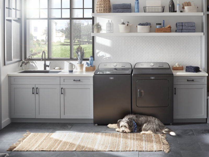 Dog laying in front of slate gray Maytag® washer and dryer Dog laying in front of slate gray Maytag® washer and dryer