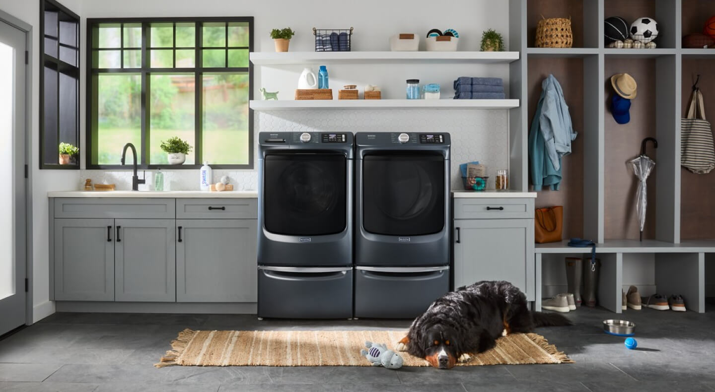 A dog resting on a carpet in front of a washer and dryer