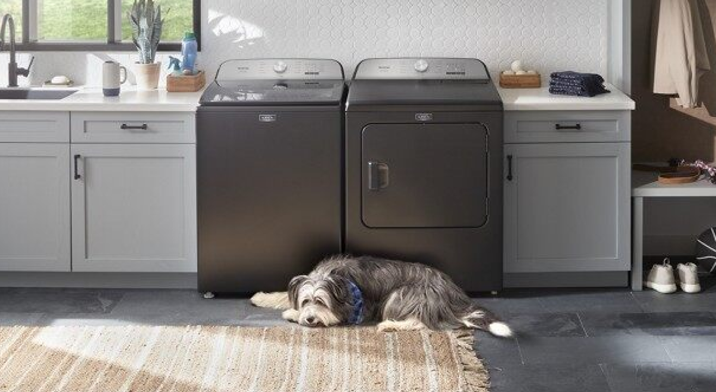 Fluffy dog laying in front of washer and dryer set