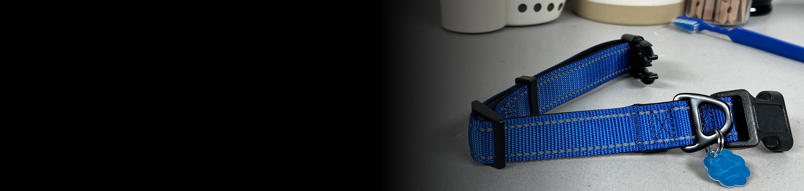 Dog collar resting on counter