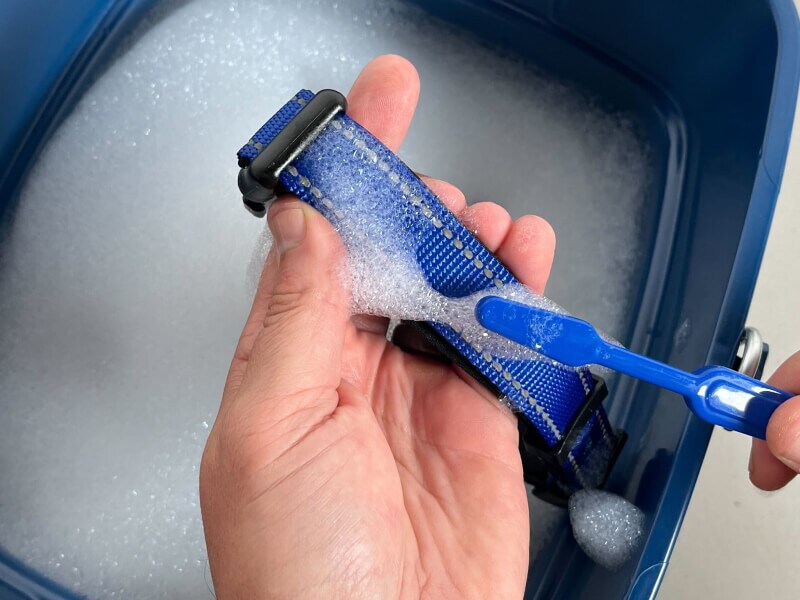 Person scrubbing dog collar with soapy water and toothbrush