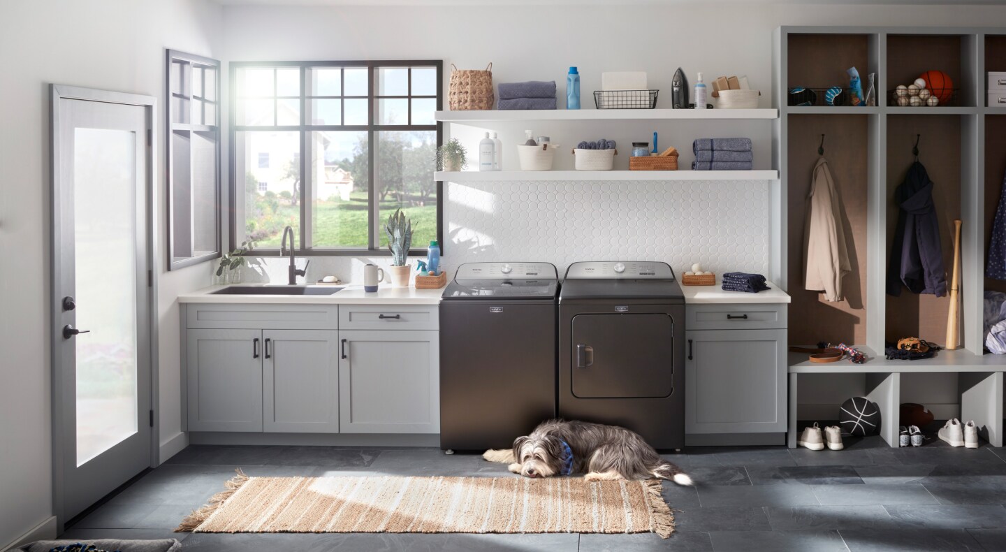 Dog laying in front of Maytag® washer and dryer set Dog laying in front of Maytag® washer and dryer set