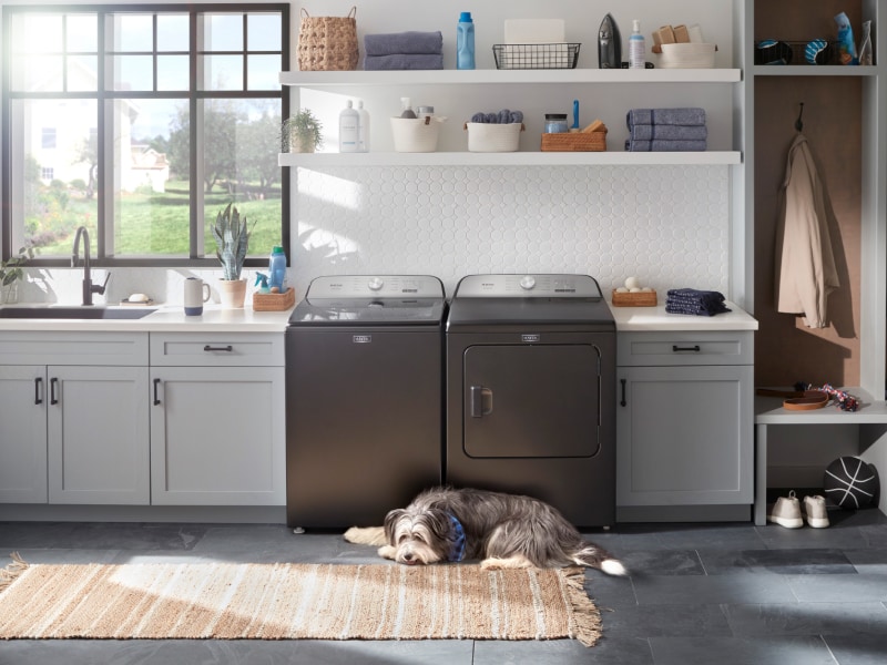 Dog laying in front of Maytag® washer and dryer set Dog laying in front of Maytag® washer and dryer set