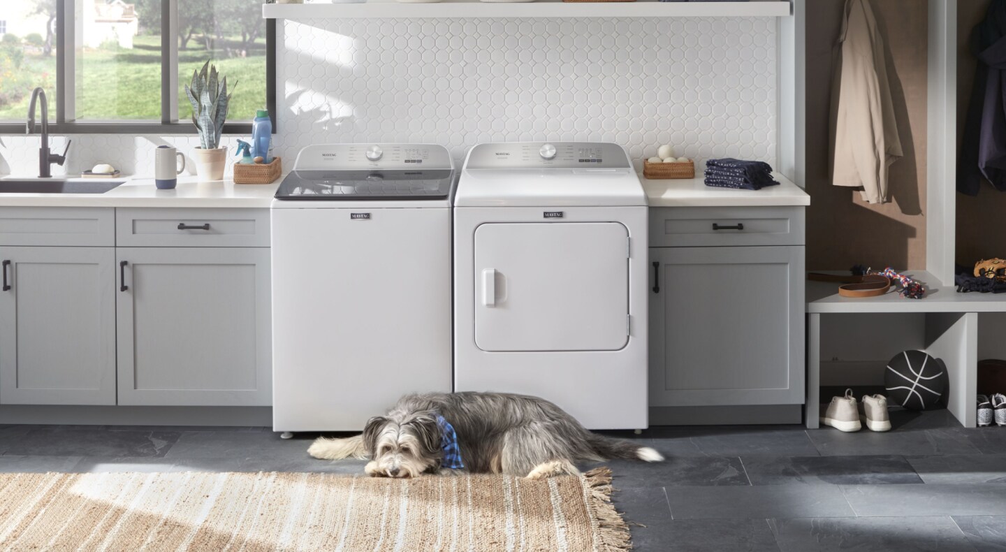 A dog lying in front of a Maytag® washer and dryer set A dog lying in front of a Maytag® washer and dryer set