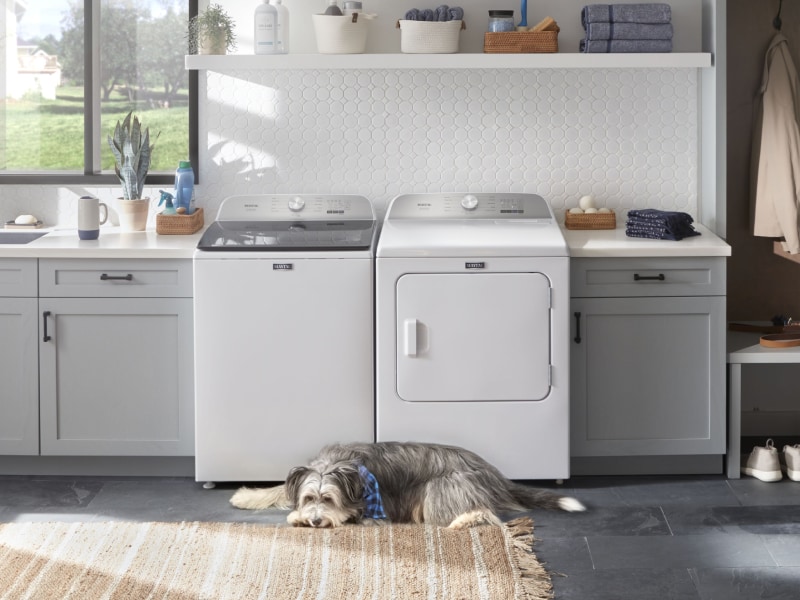 A dog lying in front of a Maytag® washer and dryer set A dog lying in front of a Maytag® washer and dryer set