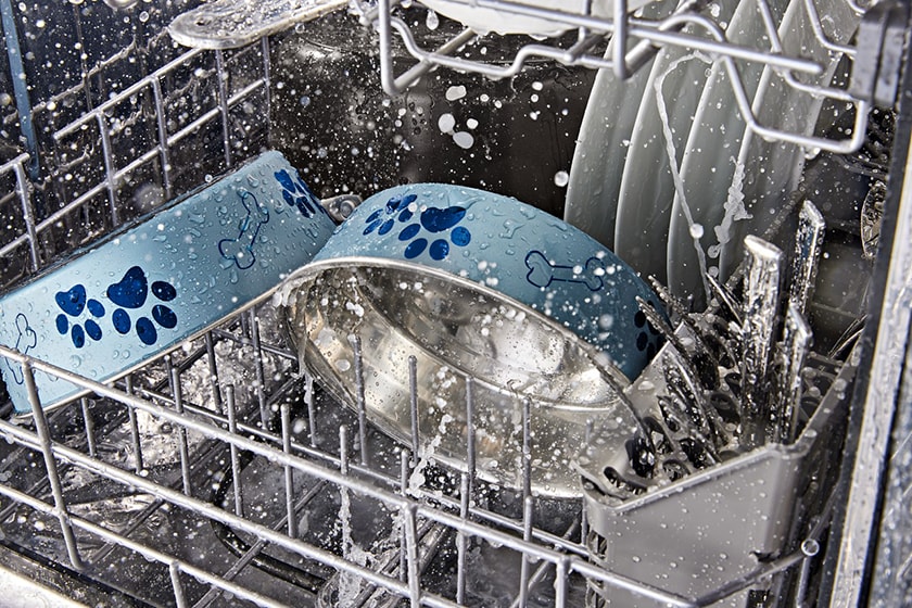 Two blue pet bowls in a dishwasher