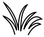 Grass icon