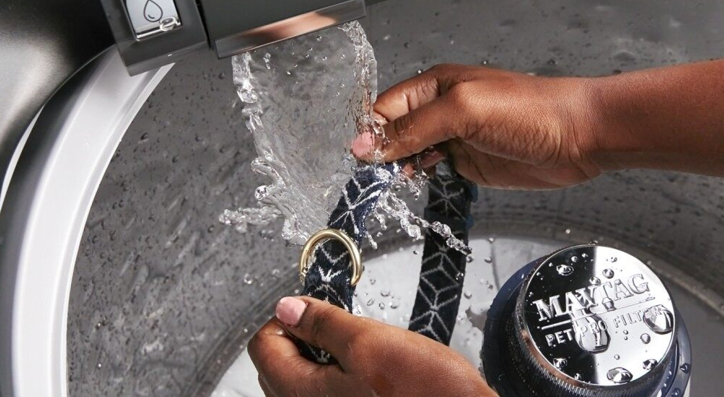 A person washing a collar in a Maytag® washer A person washing a collar in a Maytag® washer