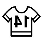 Jersey icon