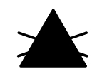 Do not bleach icon