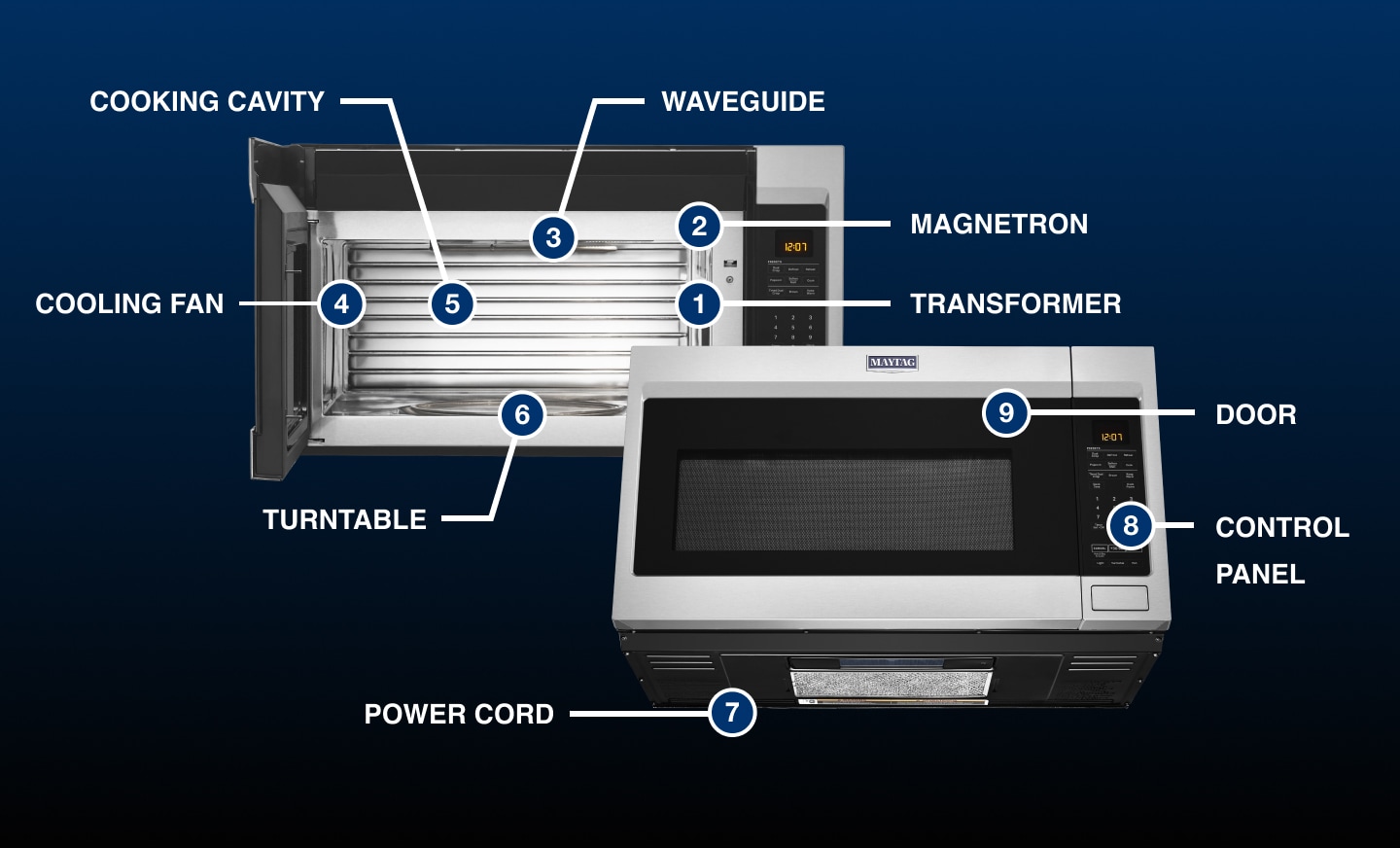 Infographic identifying the internal and external parts of a microwave Infographic identifying the internal and external parts of a microwave