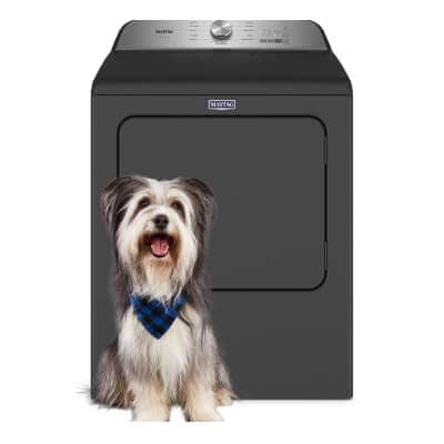A fluffy grey and white dog sitting in front of a Maytag® Smart Pet Pro Top Load Dryer