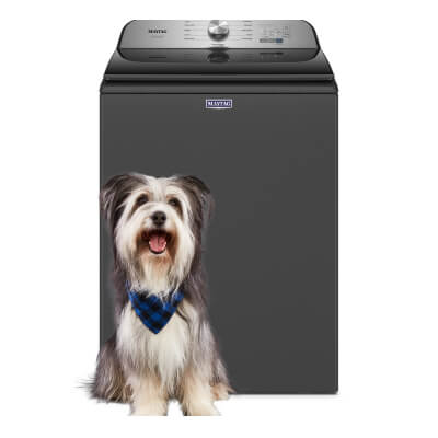 A fluffy grey and white dog sitting in front of a Maytag® Smart Pet Pro Top Load Washer