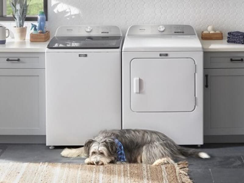 A dog laying in front of a white Maytag® washer and dryer set A dog laying in front of a white Maytag® washer and dryer set