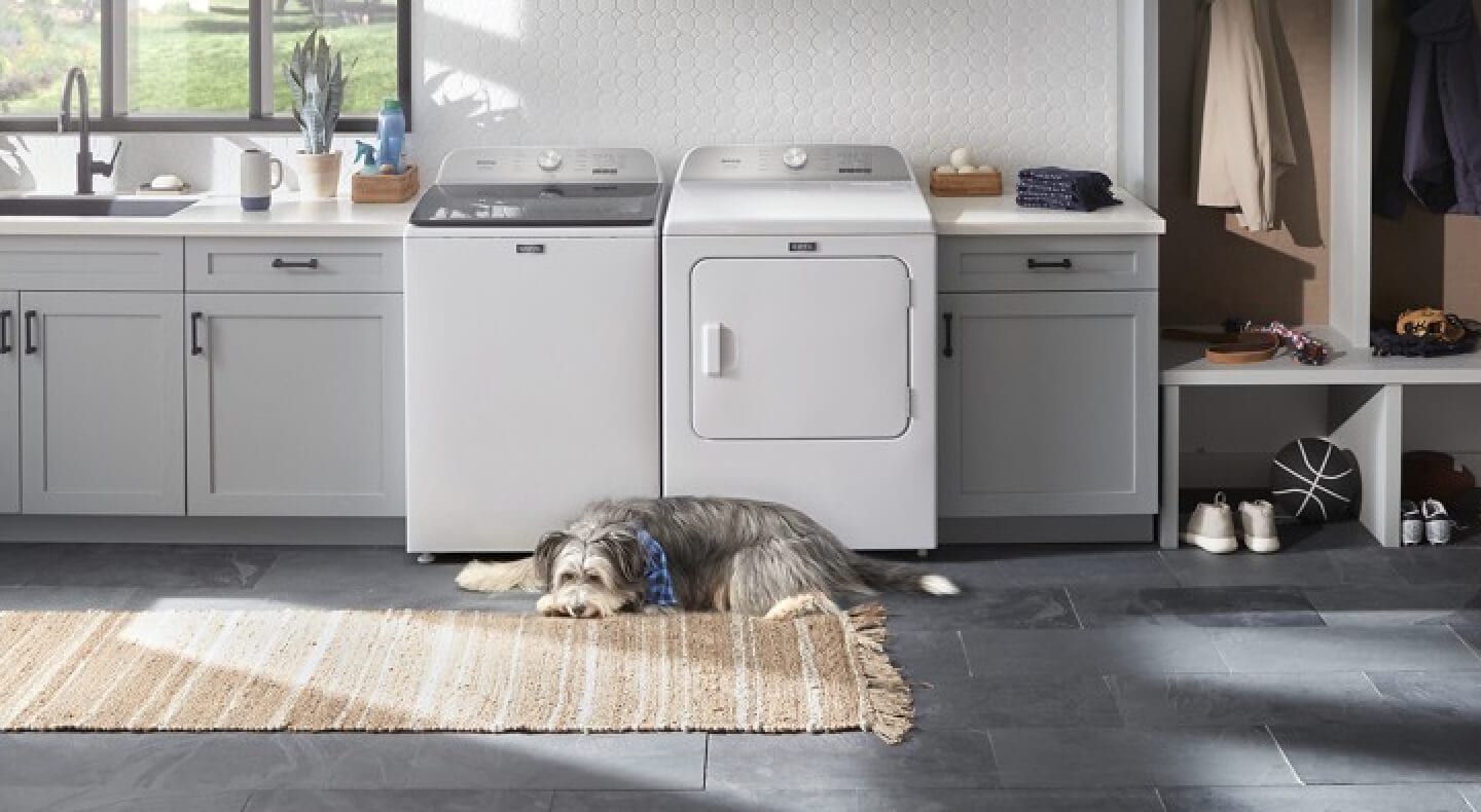 A dog laying in front of a white Maytag® washer and dryer set A dog laying in front of a white Maytag® washer and dryer set