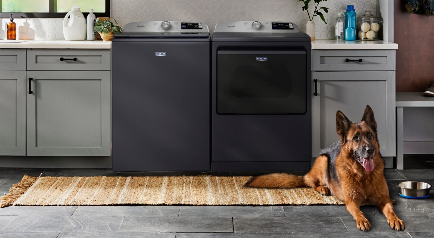 Dog laying in front of a Maytag® top load laundry pair