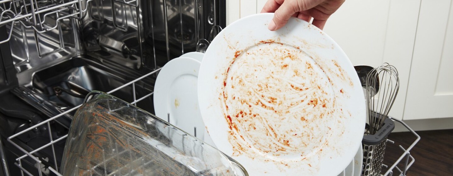 Why Does Your Dishwasher Smell Bad? Maytag